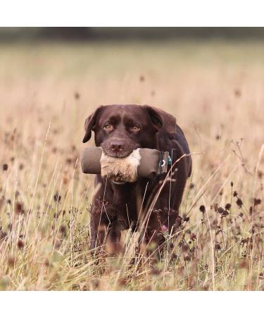 Firedog Dummy with Real Rabbit Fur | Durable Dog Training & Hunting Dummy | Various Weights (1 300g) - Buy Online on GoSupps.com