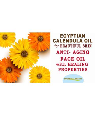 Buy Pure Egyptian Calendula Oil | Natural Moisturizer for Face Skin Hair & Nails | Botanical Beauty 1 Fl Oz (30 ml - Buy Online on GoSupps.com