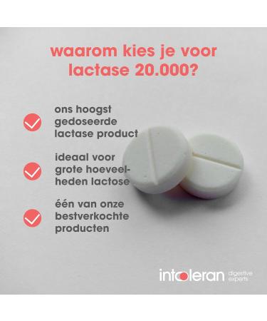Intoleran Lactase 20000 Digestive Enzymes 50 Breaking Tablets Lactase enzyme for Lactose digestion and Lactose intolerance Direct effect Highest dosage Vegan Dietary Supplement - Buy Online on GoSupps.com