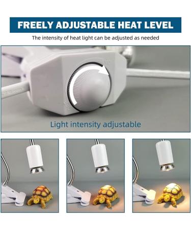Shengruili Turtle Heat Lamp | 25W & 50W Reptile Terrarium Light for Turtles | Optimal Heating Solution for Reptiles - Buy Online on GoSupps.com