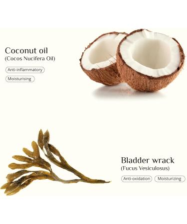 SEAWEED ORGANICS - Seaweed Lip balm stick Moisturising Organic olive & coconut oils Scottish seaweeds Suitable For All Skin Hydrating & Nourishing Lip Care 5g DIANA DRUMMOND - Buy Online on GoSupps.com