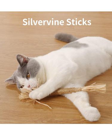 Catnip Chew Toy for Cats | Interactive Silvervine Stick for Kitten Teething | Teeth Cleaning Cat Toy - Buy Online on GoSupps.com