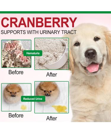 Bladder & Kidney Support for Dogs - Natural Urinary Tract Treatment Cranberry D-Mannose Soft Chews 30 Tasty Snacks - Buy Online on GoSupps.com