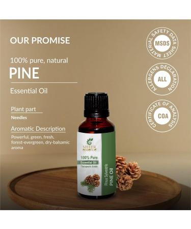 Pine Oil -(Pinus Sylvestris)- Essential Oil 100% Pure Natural Undiluted Uncut Therapeutic Grade Oil 3.38 FL.OZ - Buy Online on GoSupps.com
