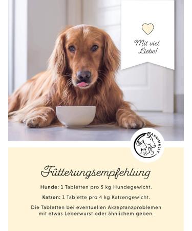 Premium Vitamin B Complex for Dogs & Cats - 120 High-Dose Tablets for 4 Months | Essential B Vitamins & Selenium Supplement - Buy Online on GoSupps.com