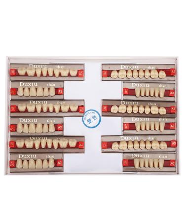 Art resin tooth acrylic resin prosthesis teeth dental art resin false teeth for prosthesis models DIY projects professional dental needs