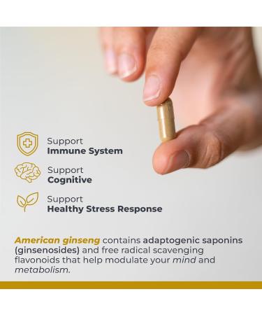 Premier Research Labs American Ginseng Supplement - American Ginseng Capsules Herbal Ginseng Root Pills North American Ginseng Herb Extract Calming Energy Supplement - 60 Plant-Based Capsules - Buy Online on GoSupps.com