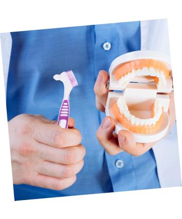 Hapinary Double-Sided Prosthesis Cleaning Brush - 2-Pack Toothbrush Set for Effective Prosthesis Care - Buy Online on GoSupps.com