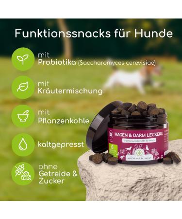 Natural Digestive Treats for Dogs - 125 Probiotics for Stomach Issues Diarrhea & Intestinal Health | 100% Organic Gentle Snacks - Buy Online on GoSupps.com