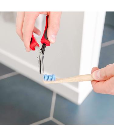 Grow Forward Premium Bamboo Toothbrushes - Pack of 8 - Medium Bristles - Eco-Friendly & Biodegradable - Buy Online on GoSupps.com