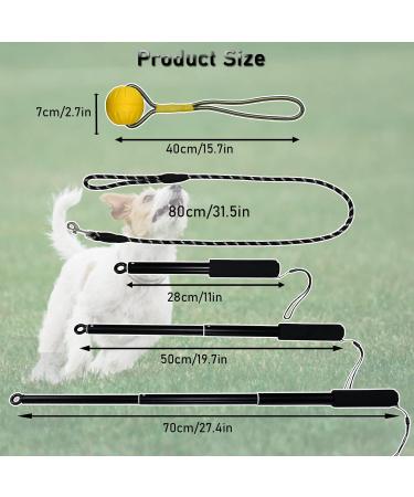 Tekcam Flirt Pole for Dogs | Interactive Tug Ball Toy for Training | Durable Outdoor Chewing Stick for Small to Large Breeds - Buy Online on GoSupps.com