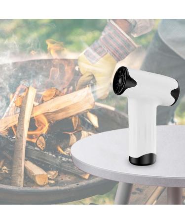 Kokiya Cordless Hair Dryer Turbofan Professional Compact Small Hair Blow Dryer Portable Hair Dryer for Art Painting Outdoor Car - Buy Online on GoSupps.com