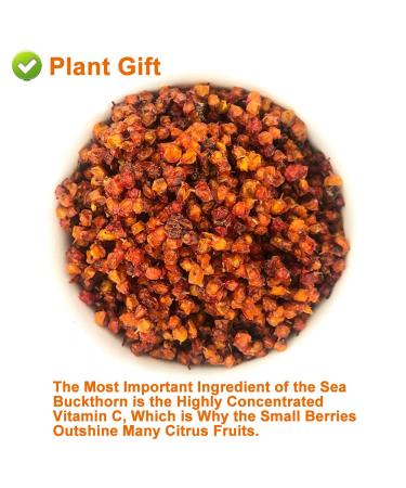 Buy Organic Dried Sea Buckthorn Berries 120g - High B12 All-Natural No Additives Superfood for International Shipping - Buy Online on GoSupps.com