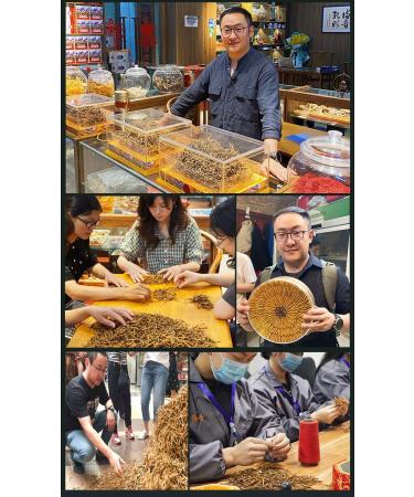 Akersunder Genuine Dried Cordyceps sinensis/winterworm summerherb Ophiocordyceps sinensis naqu cordyceps 1g. (Broken Grass with Tail) - Buy Online on GoSupps.com