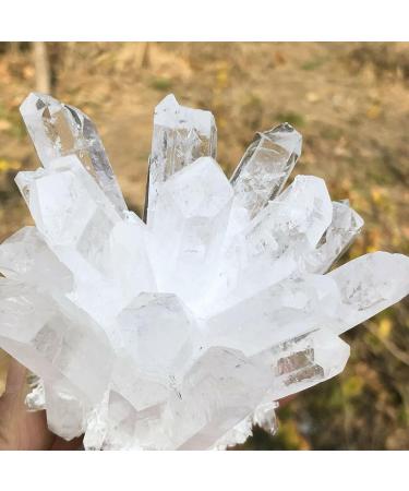 1pc Natural Rare White Quartz Crystal Cluster Specimen Stone Collection (Size : 80-90g) - Buy Online on GoSupps.com