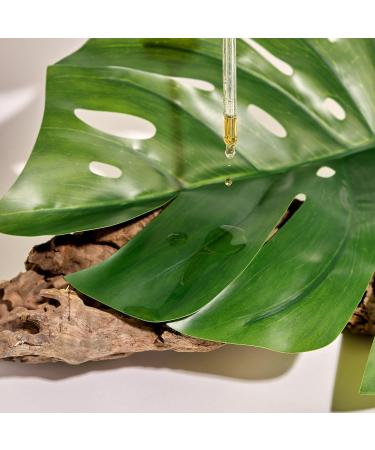 Maternatura Srl Maternatura Olive Leaves Stimulating Hair Lotion against Hair Loss Anti Hair Loss Treatment Organic Beauty Routine for Hair Loss Made in Italy 100 ml New Formula - Buy Online on GoSupps.com