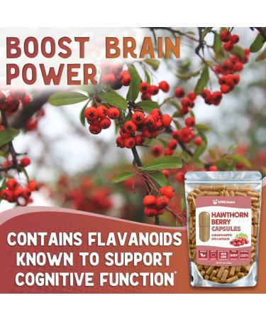 Hawthorn Berry Powder Capsules - 360 Count (6 Month Supply) - Premium Hawthorn Berry Capsules for Cardiovascular Support - Hawthorne Berry Powder - An Ideal Hawthorne Supplement for Men and Women - Buy Online on GoSupps.com