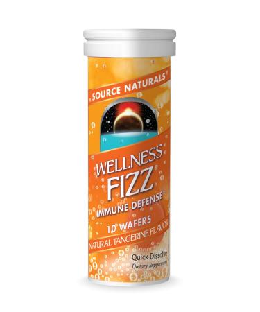 Source Naturals Wellness Fizz Natural Tangerine  10 Wafers