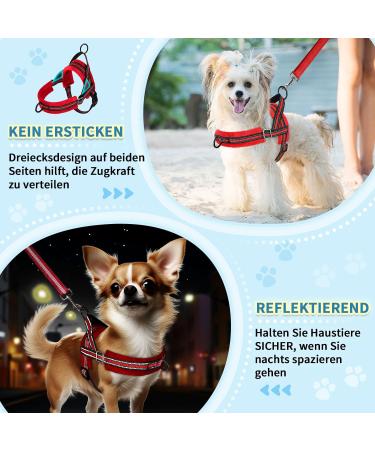 Eyin No-Pull Dog Harness with Leash - Soft Padded Reflective Adjustable for Puppies & Small Dogs - Red (S) - Ideal for Pets & Cats - Buy Online on GoSupps.com