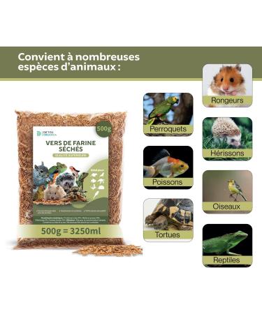 Dried Mealworms 500g 3250ml - Premium Quality Treat for Birds Hedgehogs Turtles Reptiles Fish Rodents - Buy Online on GoSupps.com