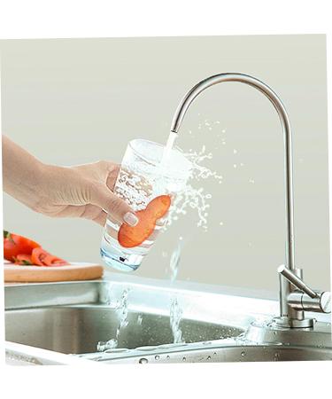 Bottle Brushes Magical Bottle Cleaning Beans 3Pcs Reusable Bottle Cleaning Beans Pea-Shaped Water Bottle Cleaner Sponges for Bottle Internal Cleaning Orange - Buy Online on GoSupps.com