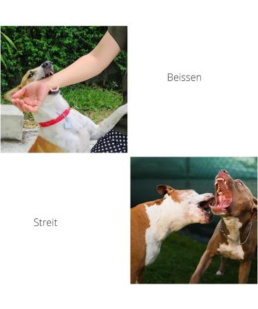 Buy Koboko Breathable Dog Muzzle - Anti-Bite & Anti-Label for Medium & Small Dogs - Blue M - Buy Online on GoSupps.com