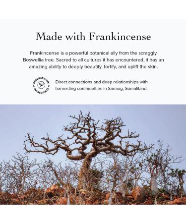 evanhealy Neroli Frankincense Body Oil | Organic Body Care with Silky Blend of Plant Oils to Soften & Moisturize All Skin | Frankincense Oil for Face - Buy Online on GoSupps.com