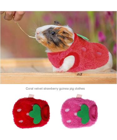 2PCS Strawberry Guinea Pig Winter Apparel Coats - Small Pet Warm Costumes for Rabbits, Ferrets, Chinchillas, Kittens - 3XS - Buy Online on GoSupps.com