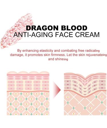  JIAOY Dragon's Blood Anti-Aging Face Cream Dragon's Blood Cream - Moisturizing and Firming Care for Women Easy-to-Use Face Serum - Brightens Complexion and Smoothes Skin (Serum+Cream) - Buy Online on GoSupps.com