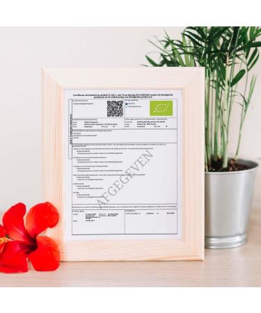 Aligma Organic Chlorella Powder 250 Grams for Immune System Booster Super Greens Powder Natural Source of Vegan Protein Minerals & Vitamins Resealable Packaging - Buy Online on GoSupps.com