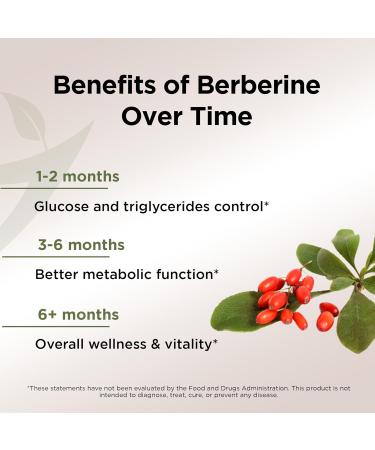 Gade Nutrition Berberine Supplement | Berberine HCI 1200mg Per Serving - Top Choice Vegetable Capsules Gluten Free Non-GMO Dairy Free - Made in USA - Buy Online on GoSupps.com