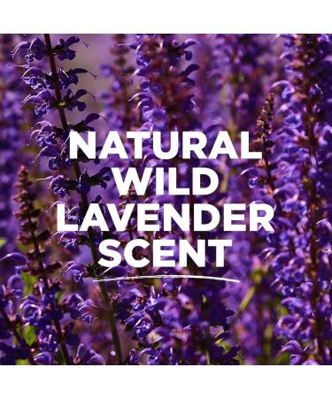 Tom's of Maine Lavender Deodorant Stick 2.25 Oz (Pack of 2) - Natural & Long-Lasting - Buy Online on GoSupps.com
