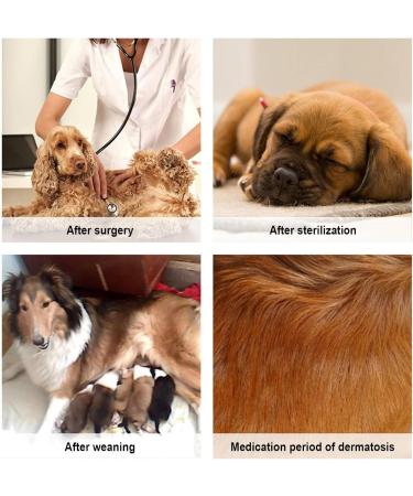 Luxury Dog Coat for Post-Op Recovery | Cuddly Vest for Male & Female Dogs | Surgical Sweater for Belly Wounds (XS Gray-1) - Buy Online on GoSupps.com