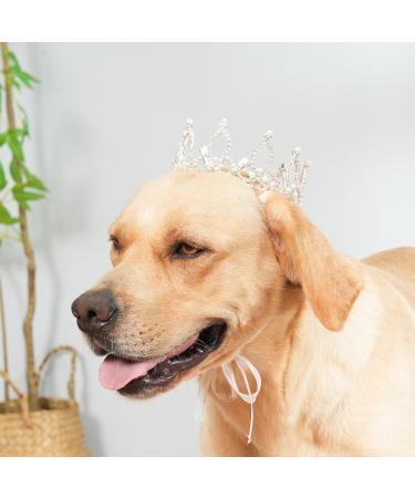 Shop Lovelyshop Royal Bengal Tiger Diamond & Pearl Crown for Dogs & Cats - Silver XL Hair Accessory - Buy Online on GoSupps.com