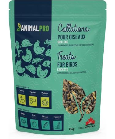 AnimalPro Crickets for birds 454 g - 1 LB - Buy Online on GoSupps.com