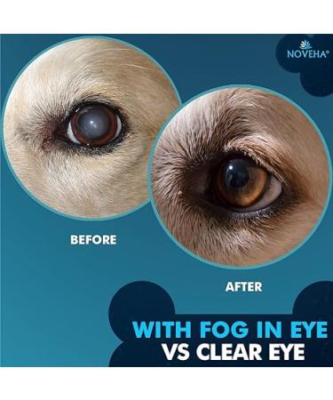 NOVEHA Cataract Drops for Pets Gentle&Safe Dog Eye Drops Improve Eye Vision and Cataracts for Dogs Cats Horses Rabbit 2x10mL - Buy Online on GoSupps.com