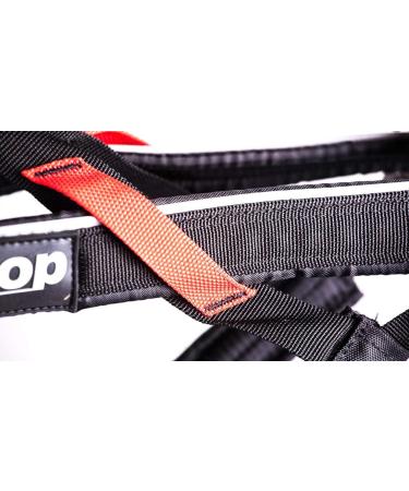Buy Dog Copenhagen Non-Stop Canicross Harness - Free Motion Size T10 - Black | International Shipping Available - Buy Online on GoSupps.com