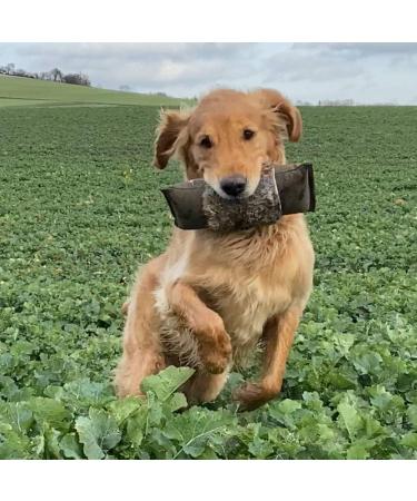 Firedog Dummy with Real Rabbit Fur | Durable Dog Training & Hunting Dummy | Various Weights (1 300g) - Buy Online on GoSupps.com