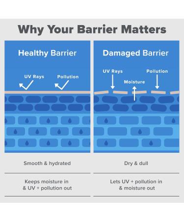 Paula's Choice RESIST Barrier Repair Advanced Face Moisturizer with Ceramides Peptides Deep Hydration Face Cream for Wrinkles Anti-Aging for All Skin Types Fragrance-Free 1.7 Fl Oz - Buy Online on GoSupps.com