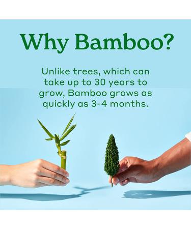 Caboo Tree Free Bamboo Toilet Paper - 24 Double Rolls, Septic Safe, Biodegradable Bath Tissue - Eco Friendly, Soft 2 Ply Sheets - 300 Sheets Per Roll - Buy Online on GoSupps.com