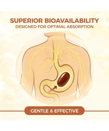 LIRAE Ceylon Cinnamon SoftGels Ceylon Cinnamon Soft Gels 7200mg Equivalent with Mct Oil Highly Bioavailable Herbal Extract | Non-GMO Gluten Free | 300 Softgel (1) - Buy Online on GoSupps.com