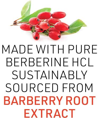Natural Factors WellBetX Berberine 500 mg - 60 Vegetarian Capsules for Blood Sugar Support - Buy Online on GoSupps.com