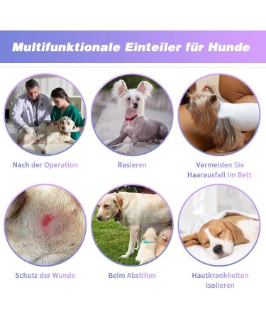 Ranypet One-Divider for Dogs | Surgical Recovery Pajamas for Large & Medium Dogs | Wound Protection & Anti-Lick Suit | 7XL Purple - Buy Online on GoSupps.com