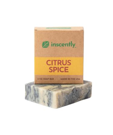 Citrus Spice Scented Bar Soap - Activated Charcoal Infused - USA Made with Organic Essential Oils & Sustainable Ingredients - Handmade Moisturizing Vegan Great for All Skin Types - Non-GMO - 5 oz Lemon Cinnamon
