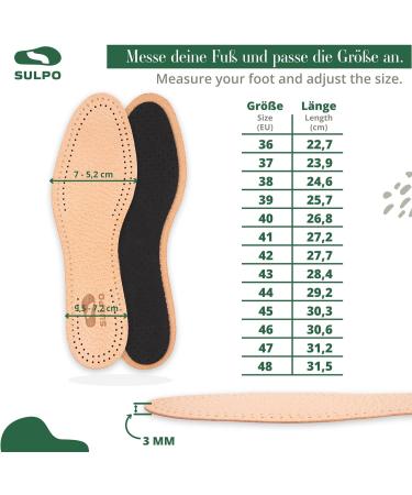 Buy Sulpo Premium Leather Insoles - 3 Pairs of Odor Absorbing Anti-Sweat Breathable Activated Carbon Inserts - Size 42 - Buy Online on GoSupps.com