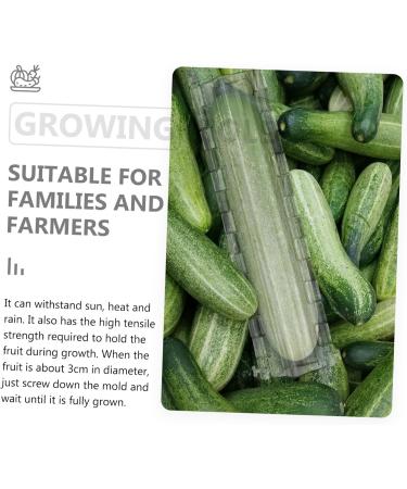 SUPVOX 1pc Plastic Stereotype Star Shaped Planting Growing Molds Forming Shaping Fruit Growth Supply Tool - Buy Online on GoSupps.com