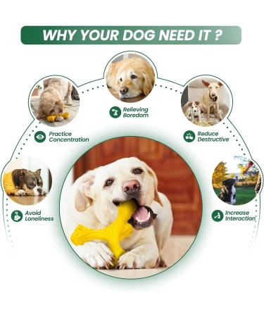 Indestructible Cvalin Kielzeugen for Aggressive Large Breed Horses - Durable Rubber Dog Toys & Cleaning Toothbrush (Yellow-A) - Buy Online on GoSupps.com