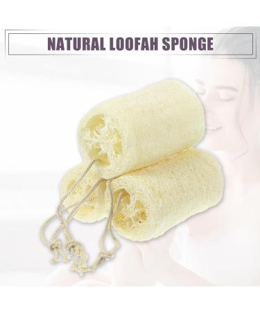 Shop VOCOSTE 3 Pcs Natural Loofah Sponge | Exfoliating Body Shower Sponges | Hang & Clean | Beige 3.94 - Buy Online on GoSupps.com
