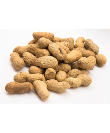 Roasted Peanuts in Shell (Monkey Nuts) 2kg by Manor Springs - Buy Online on GoSupps.com