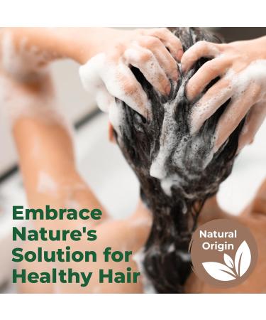 BORN Naturals Shampoo and Conditioner Set for Dry Frizzy Hair - Cleanse & Hydrate Mild Scent Natural Ingredients for Soft Smooth Hair - Suitable for All Hair Types 240 ml Shampoo & Conditioner Set - Buy Online on GoSupps.com